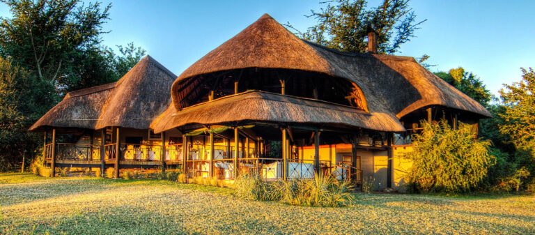 Safari Vacations Ultimate Wildlife Adventures and Experiences