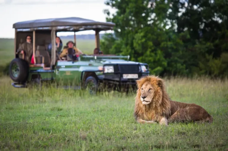 The Africa Adventure Company Curated Safaris and Active Expeditions