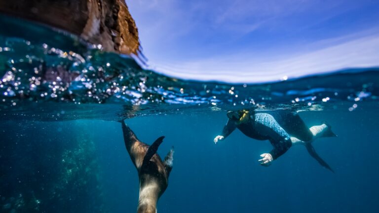 Adventure Life Galapagos Ultimate Wildlife and Eco Adventures