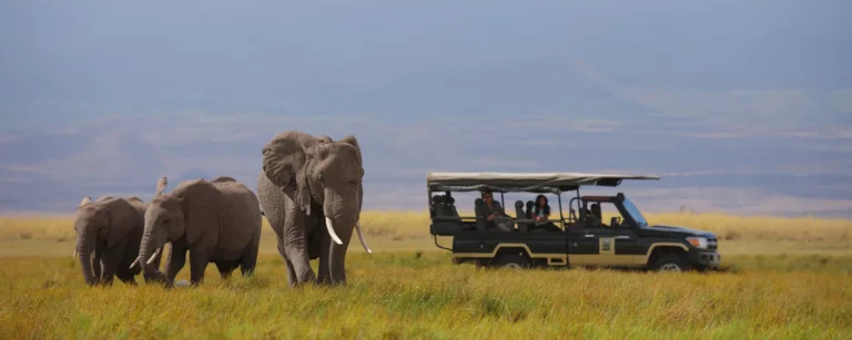 Explore Tours and Travels Top Destinations and Experiences