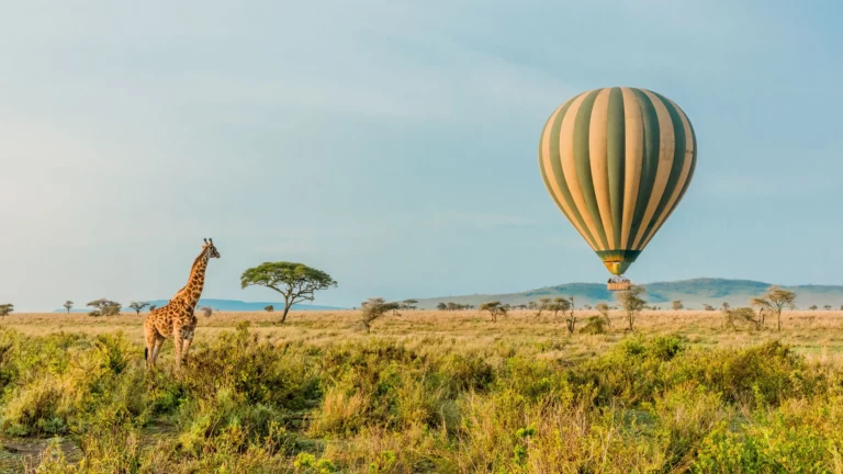 Best Luxury Safari Companies for Exclusive African Adventures in 2025